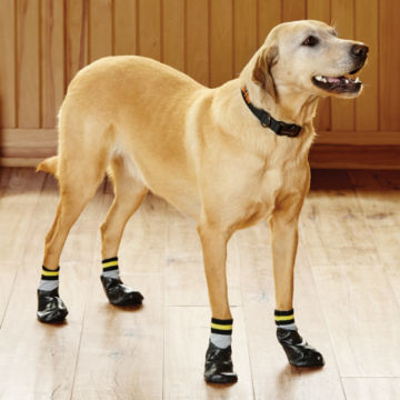 Dog No Slip Traction Socks Orvis, Large Dog Slipping On Hardwood Floors