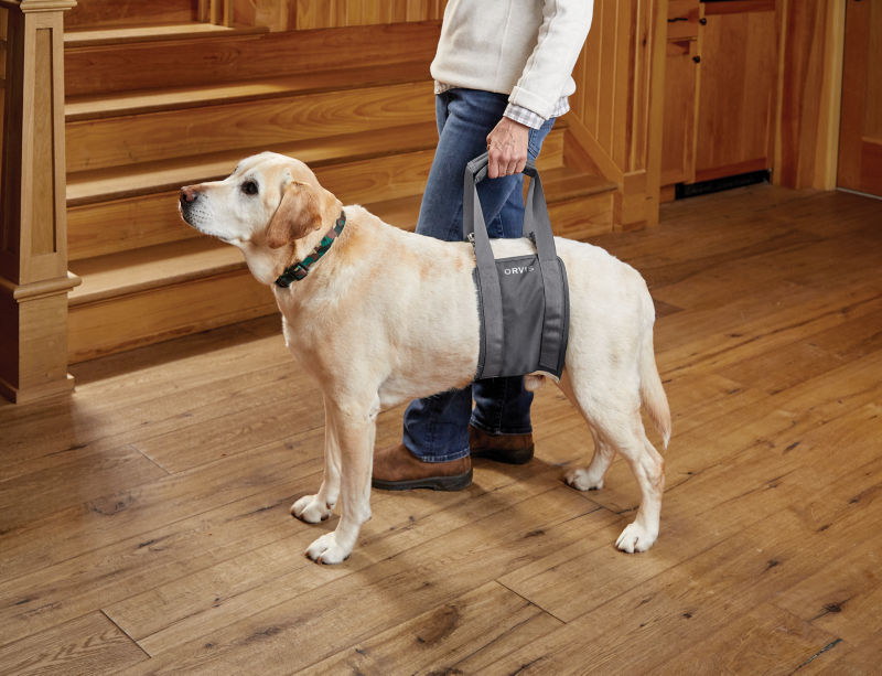 Orvis 2025 dog sling