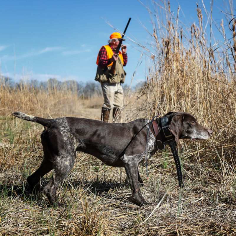 Prairie Wildlife, MS -  image number 5
