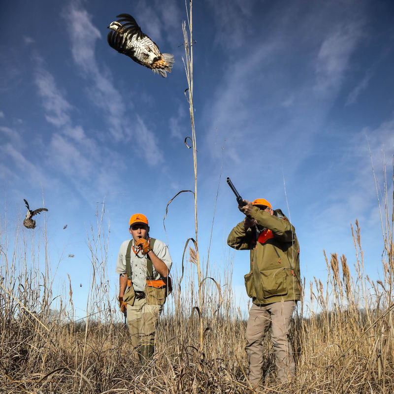 Prairie Wildlife, MS -  image number 3