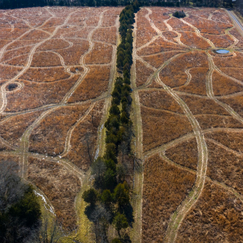 Prairie Wildlife, MS -  image number 4