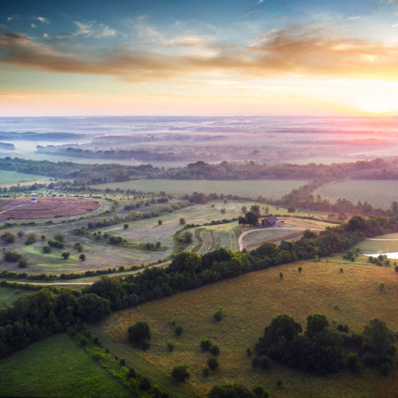 Prairie Wildlife, MS - 