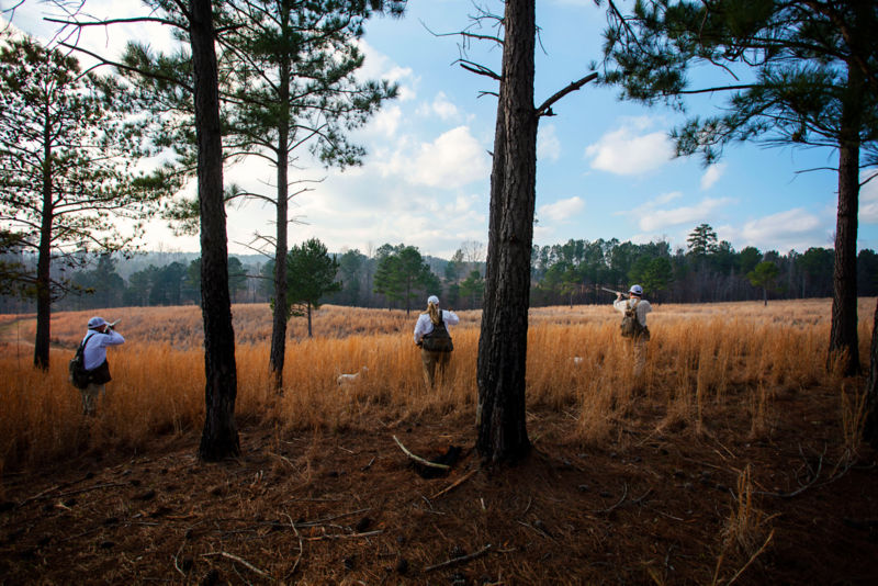 Fishing Creek Farms, GA -  image number 1