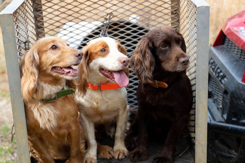 Fishing Creek Farms, GA -  image number 5