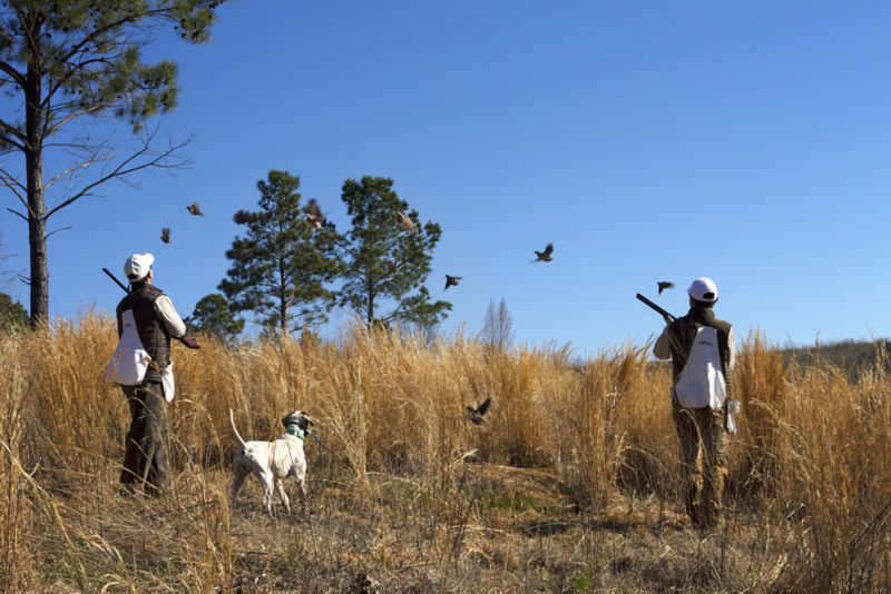 Fishing Creek Farms, GA - 