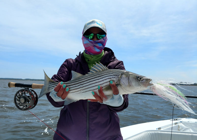 Captain Joe Mattioli -  image number 4