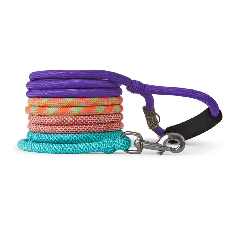 Braided rope hot sale dog collar