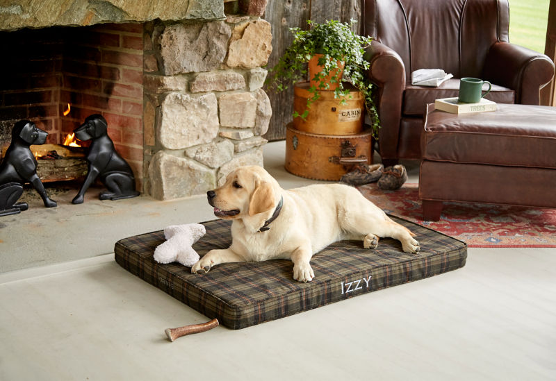 Fleece Dog Bone -  image number 3