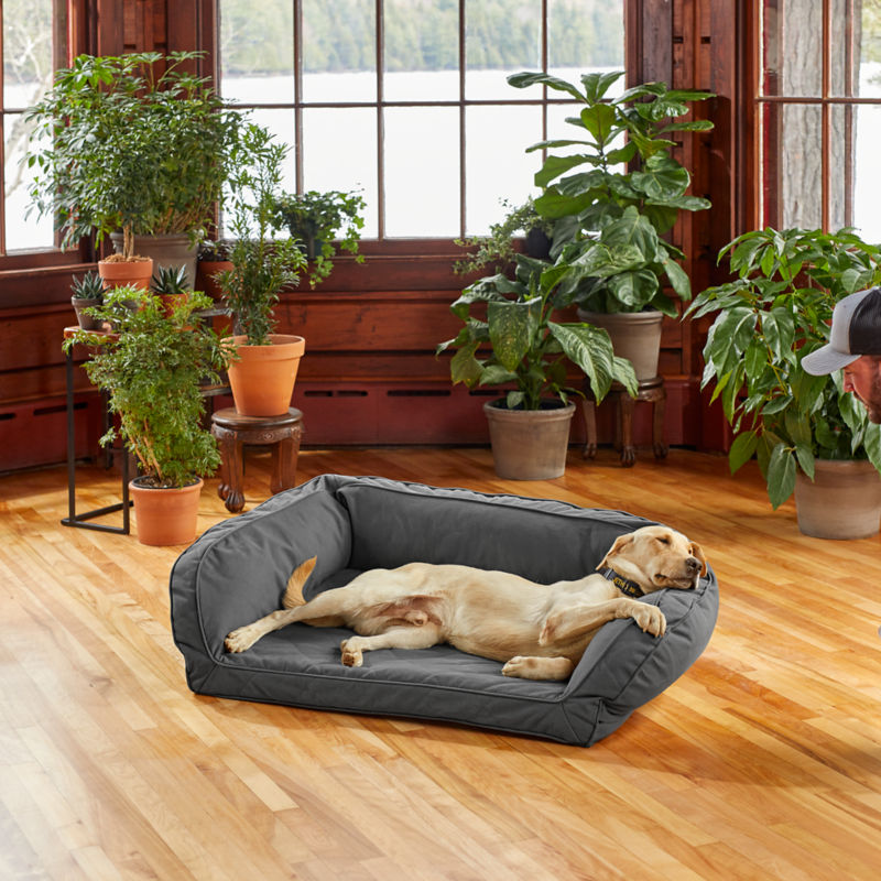 A yellow lab sprawled out on a gray bolstered dog bed in a room with lots of house plants