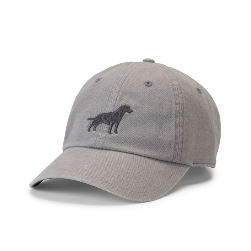 Embroidered Lab Ball Cap - TITANIUM