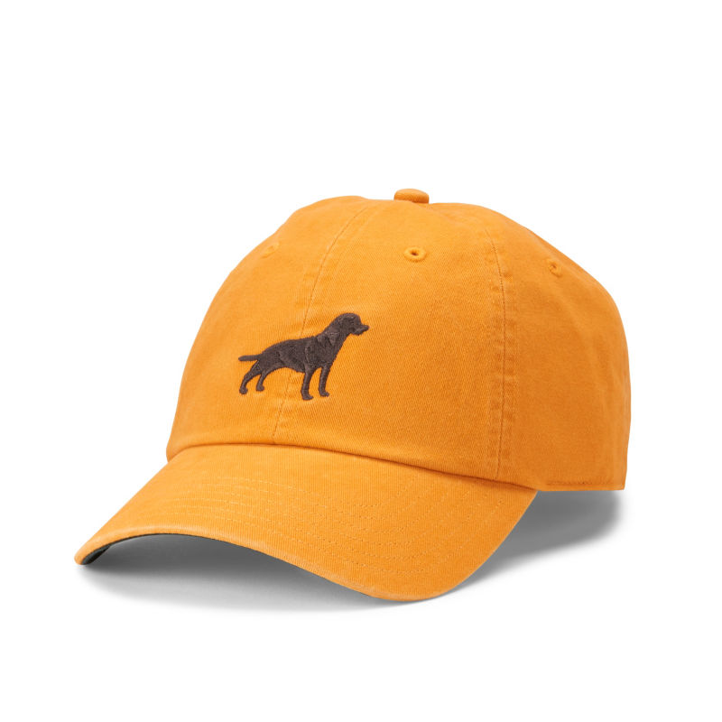 Embroidered Lab Ball Cap - PILSNER image number 0