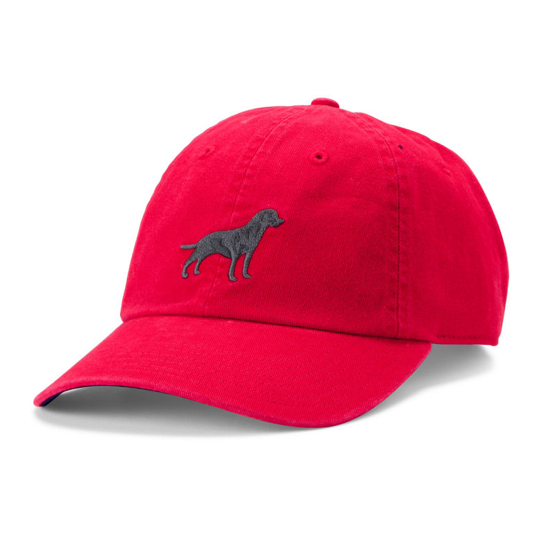 Embroidered Lab Ball Cap - CURRANT