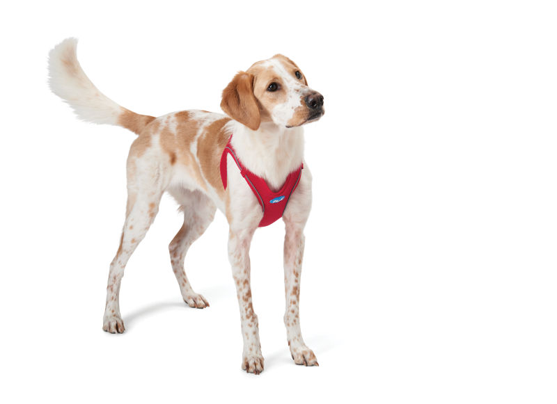 Easy StepIn Adjustable Dog Harness Orvis