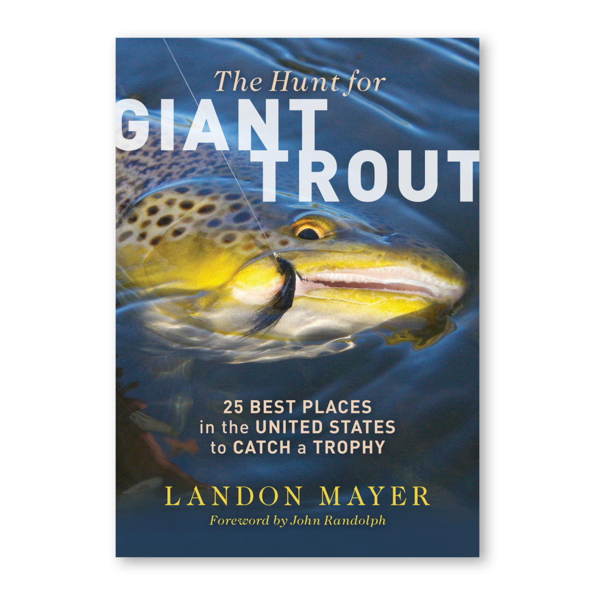 The Hunt For Giant Trout - image number 0