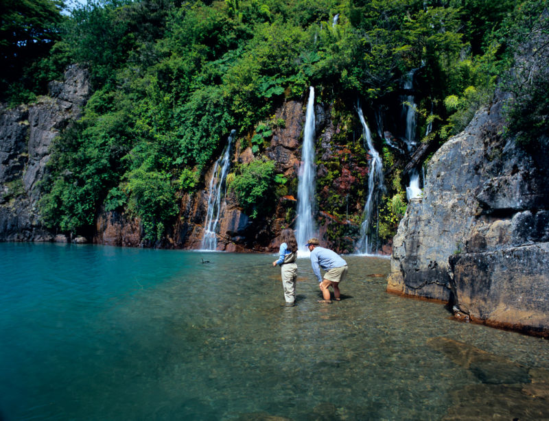 Cinco Rios Lodge -  image number 5