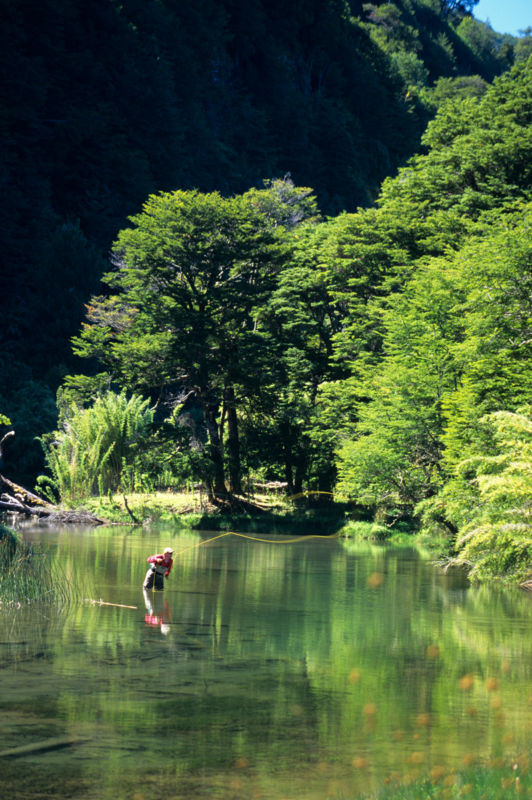 Cinco Rios Lodge -  image number 3