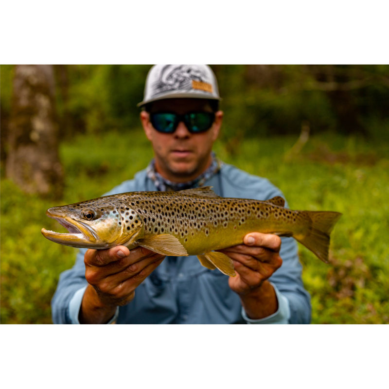 E.J. Stern, NC -  image number 0