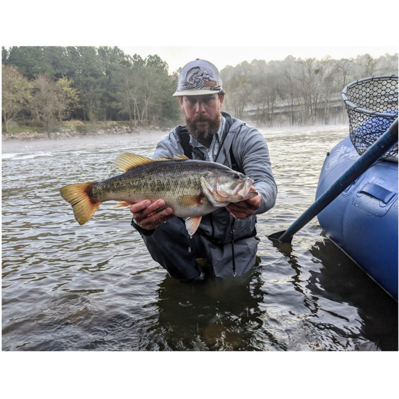 E.J. Stern, NC -  image number 1