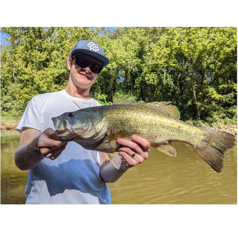 E.J. Stern, NC -  image number 4