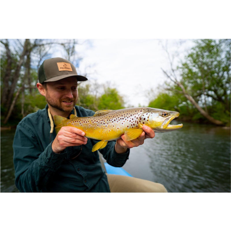 E.J. Stern, NC -  image number 2