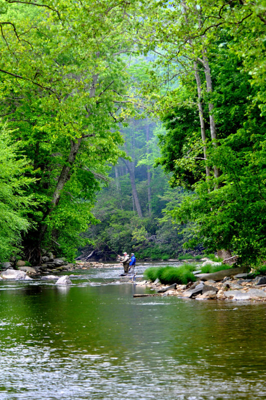 Dustin Coffey, NC -  image number 3