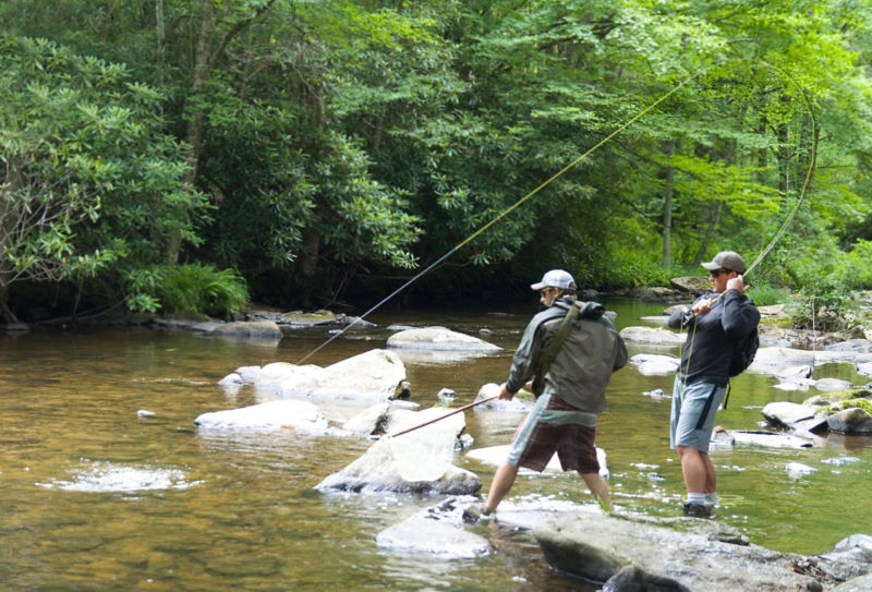 Dustin Coffey, NC -  image number 4