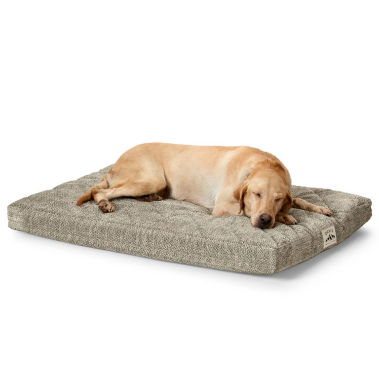 Orvis AirFoam Platform Dog Bed -  image number 0