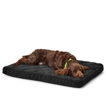 Orvis Memory Foam Platform Dog Bed - 