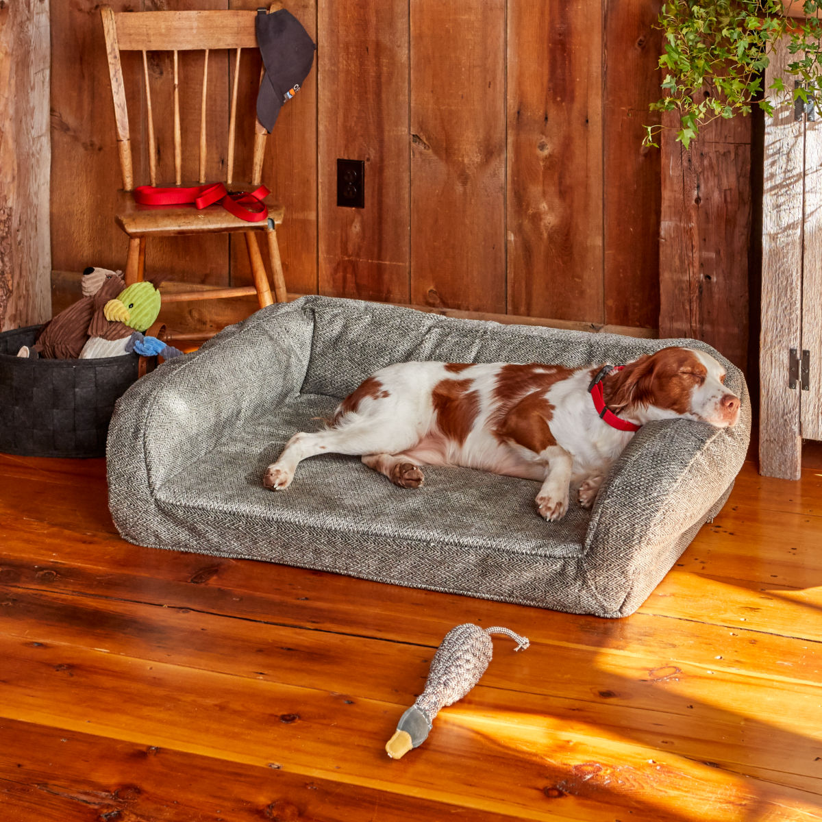 ToughChew®  Memory Foam Bolster Dog Bed - CHARCOAL CHEVimage number 0