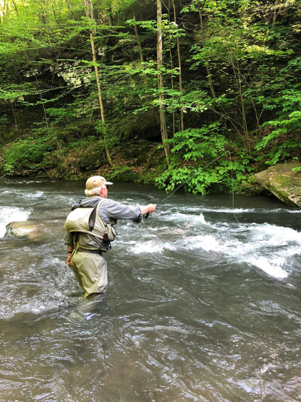 Julie Szur, PA -  image number 2