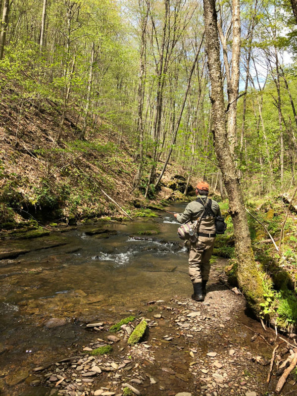 Julie Szur, PA -  image number 3