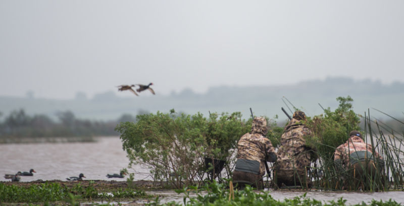 Los Ombues Lodge, Argentina -  image number 5