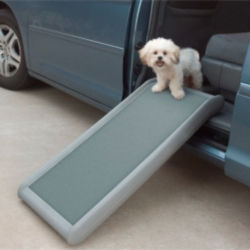A small dog using a pet ramp to get into a car