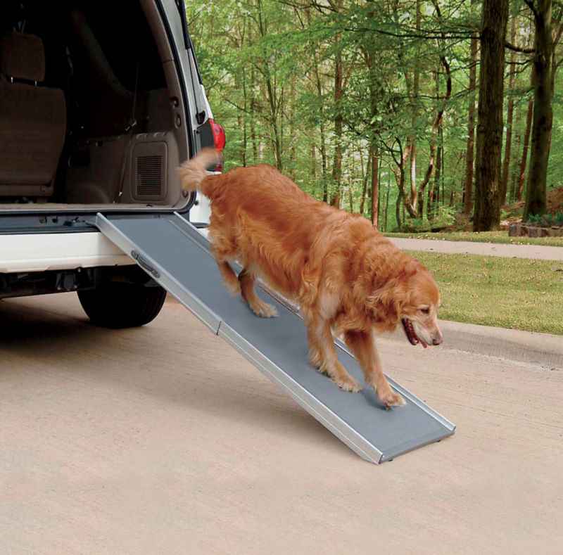 Dog ladders for clearance cars