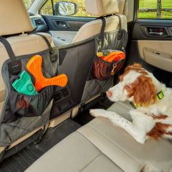A dog in the back seat of a car with lots of dog toys
