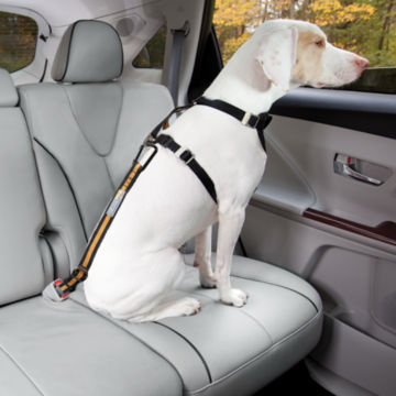 Kurgo® Seatbelt Buckle Dog Tether -  image number 0
