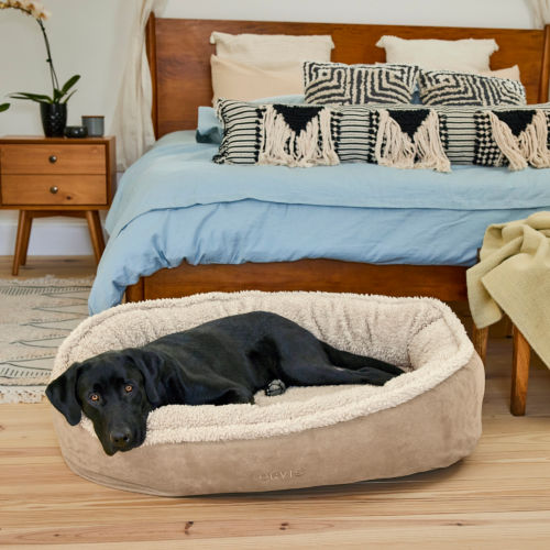 A black dog inside a home surrounded laying in a dog bed.