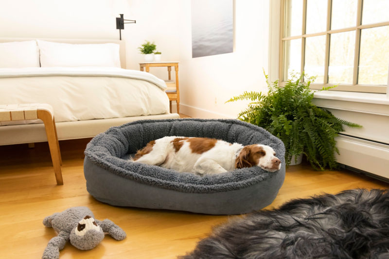 A liver and white bird dog snuggles into a Fleecelock wraparound bed.