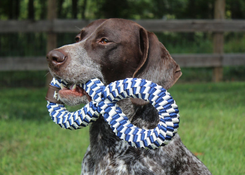 Infinity Braided Dog Toy - NAVY/WHITE image number 1
