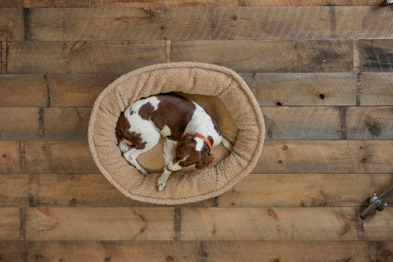 Orvis ComfortFill-Eco&trade; Wraparound Dog Bed with Fleece - KHAKI image number 1