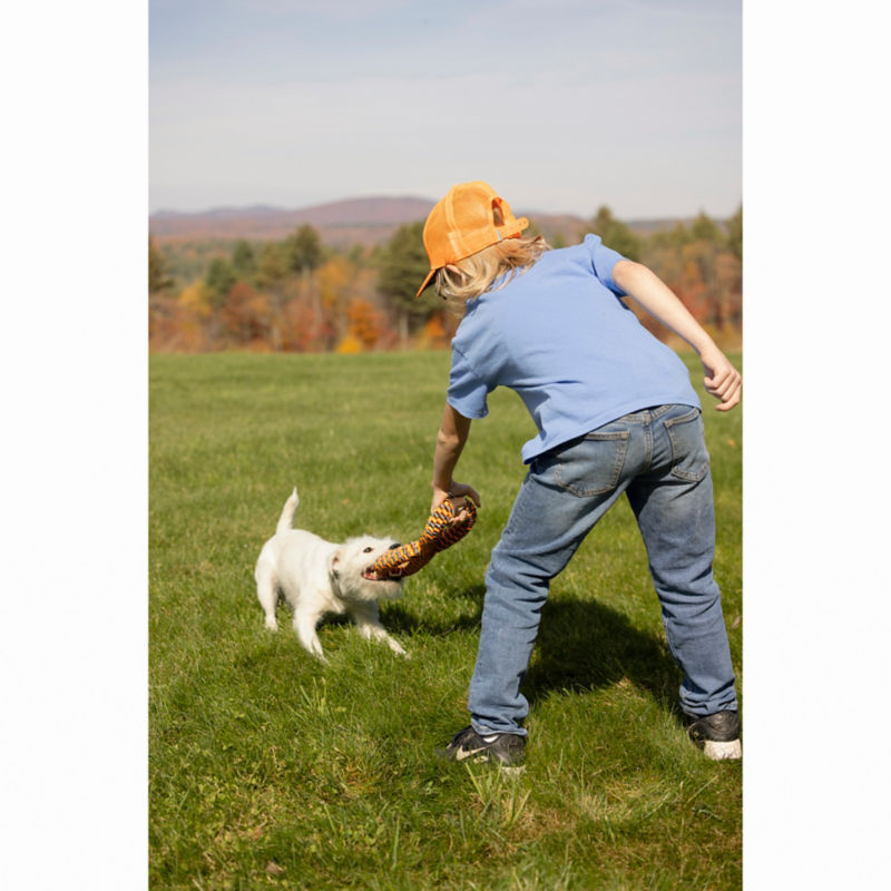 A small white dog in the green grass playing tug of war