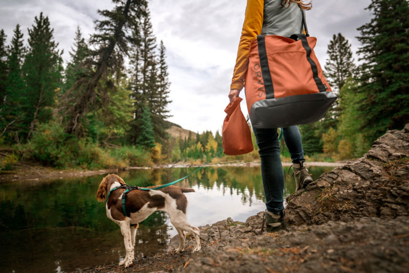 A woman and her dog out on a hike stopping to look at a pond