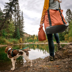 A woman and her dog out on a hike stopping to look at a pond