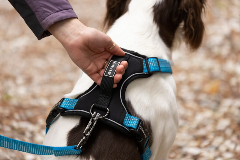 Tough Trail&reg; Dog Harness -  image number 1