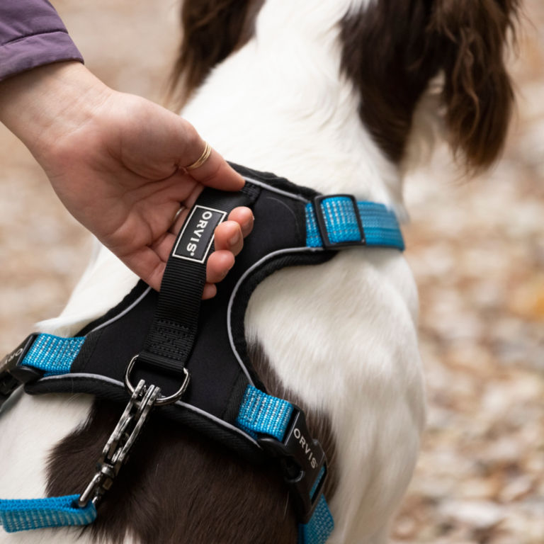 Tough Trail™ Dog Harness -  image number 1