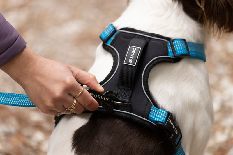 Tough Trail&reg; Dog Harness -  image number 2