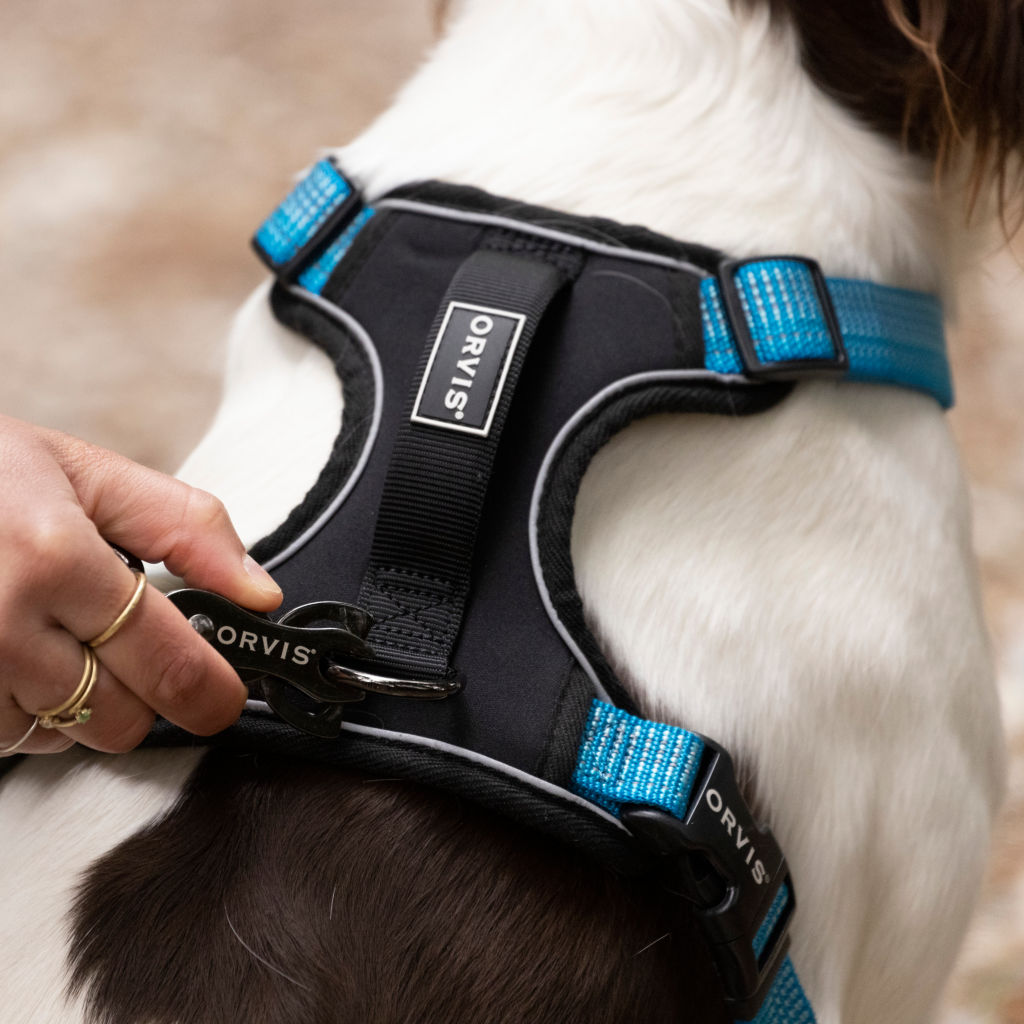 Tough Trail™ Dog Harness -  image number 2