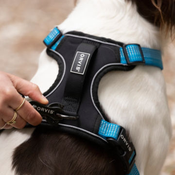 Tough Trail™ Dog Harness - image number 2