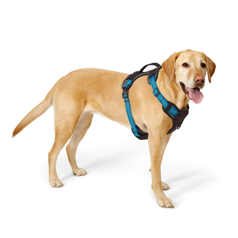 Tough Trail® Dog Harness
