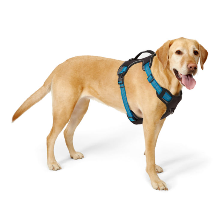 Tough Trail™ Dog Harness - 